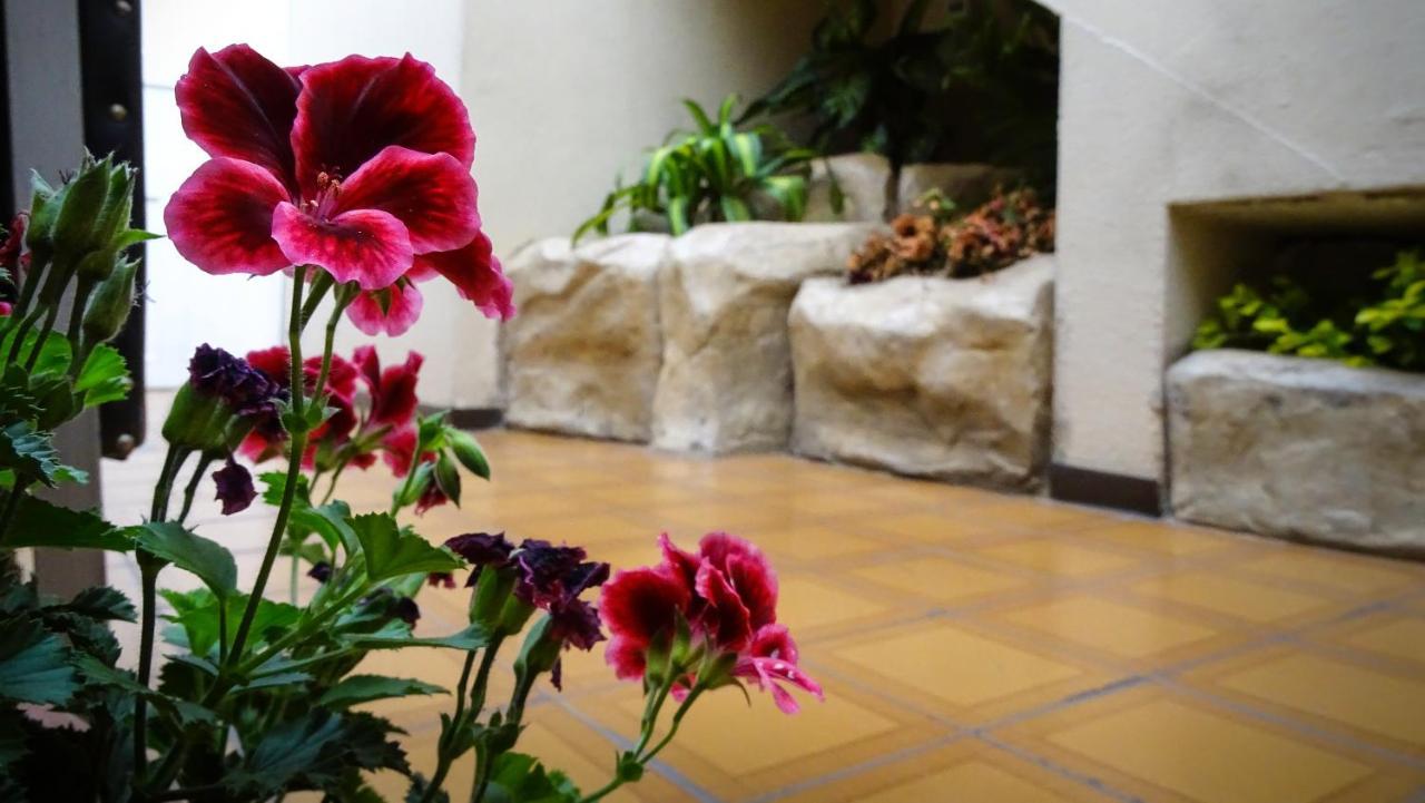 Hotel Mariscal Inn & Suite 昆卡 外观 照片